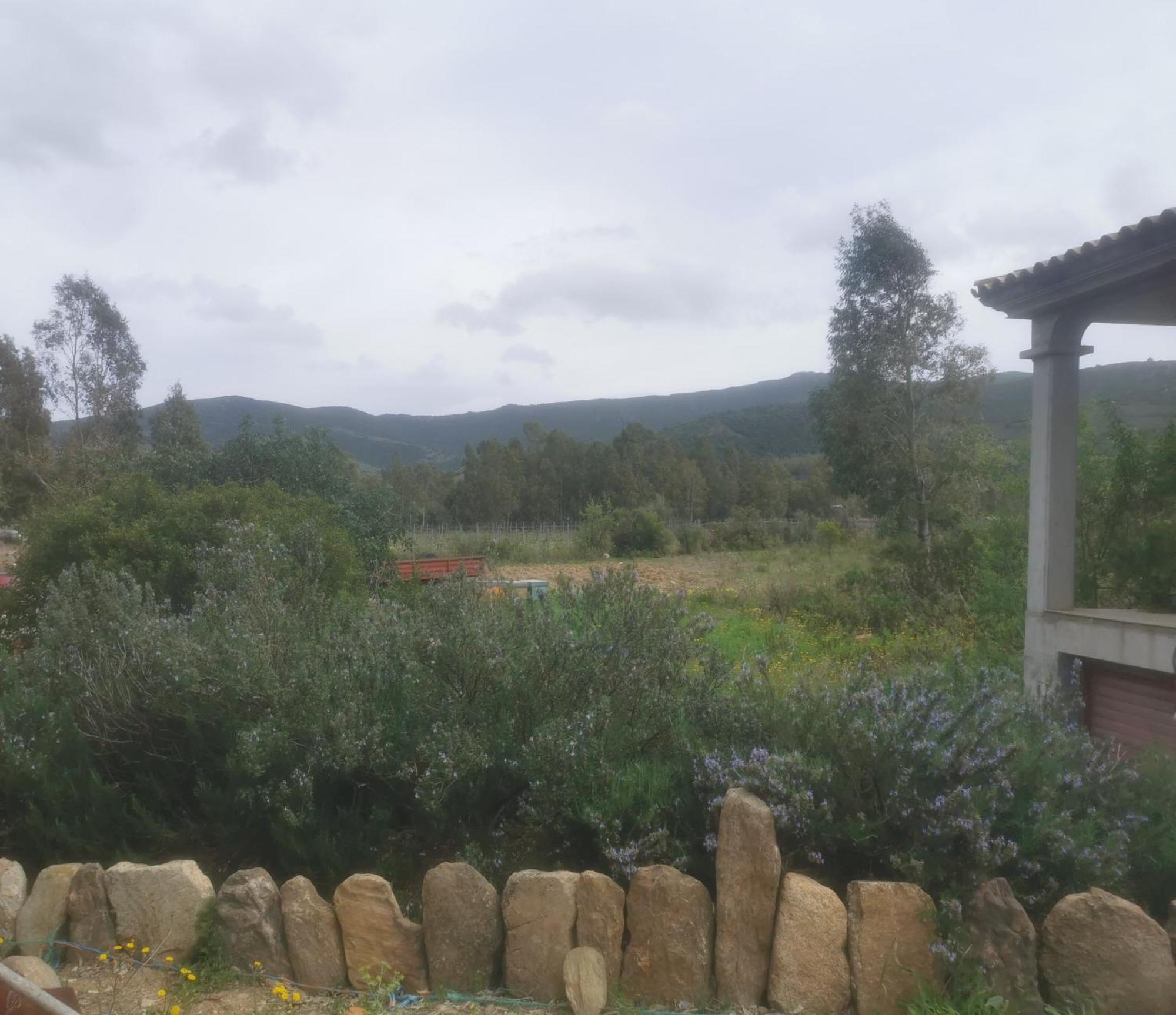 Localita Zarvenu Villa Siniscola Dış mekan fotoğraf