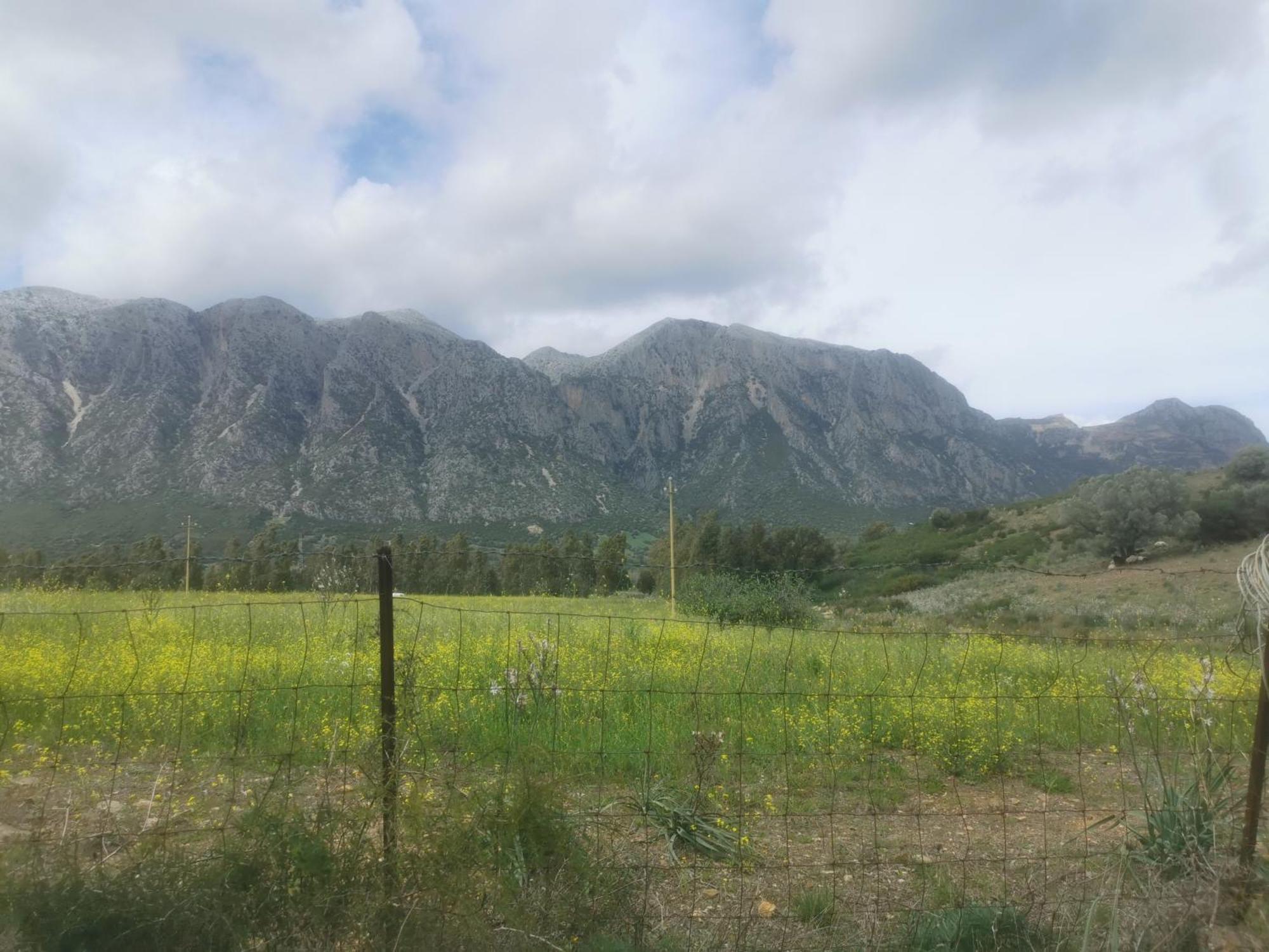 Localita Zarvenu Villa Siniscola Dış mekan fotoğraf